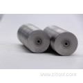 Cold Heading Die Carbide Straight Hole Die